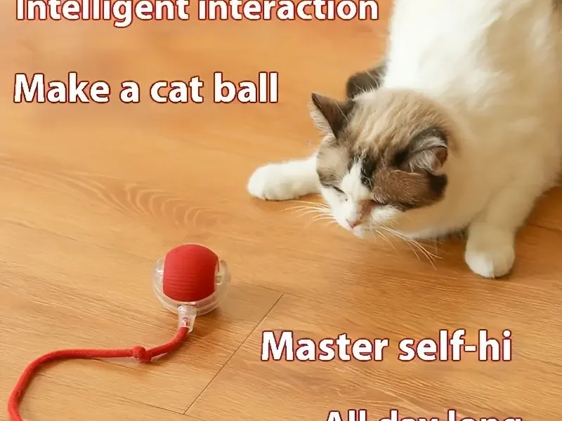 Interactive Electric Cat Toy Ball USB Rechargeable